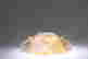 item-107221043=5