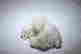 item-107221046=8