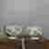 item-107221054=7