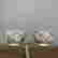 item-107221054=8