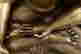 item-107221081=7