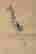 item-107221313=3