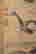 item-107221313=4