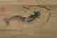 item-107221313=5
