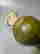 item-120765894=7