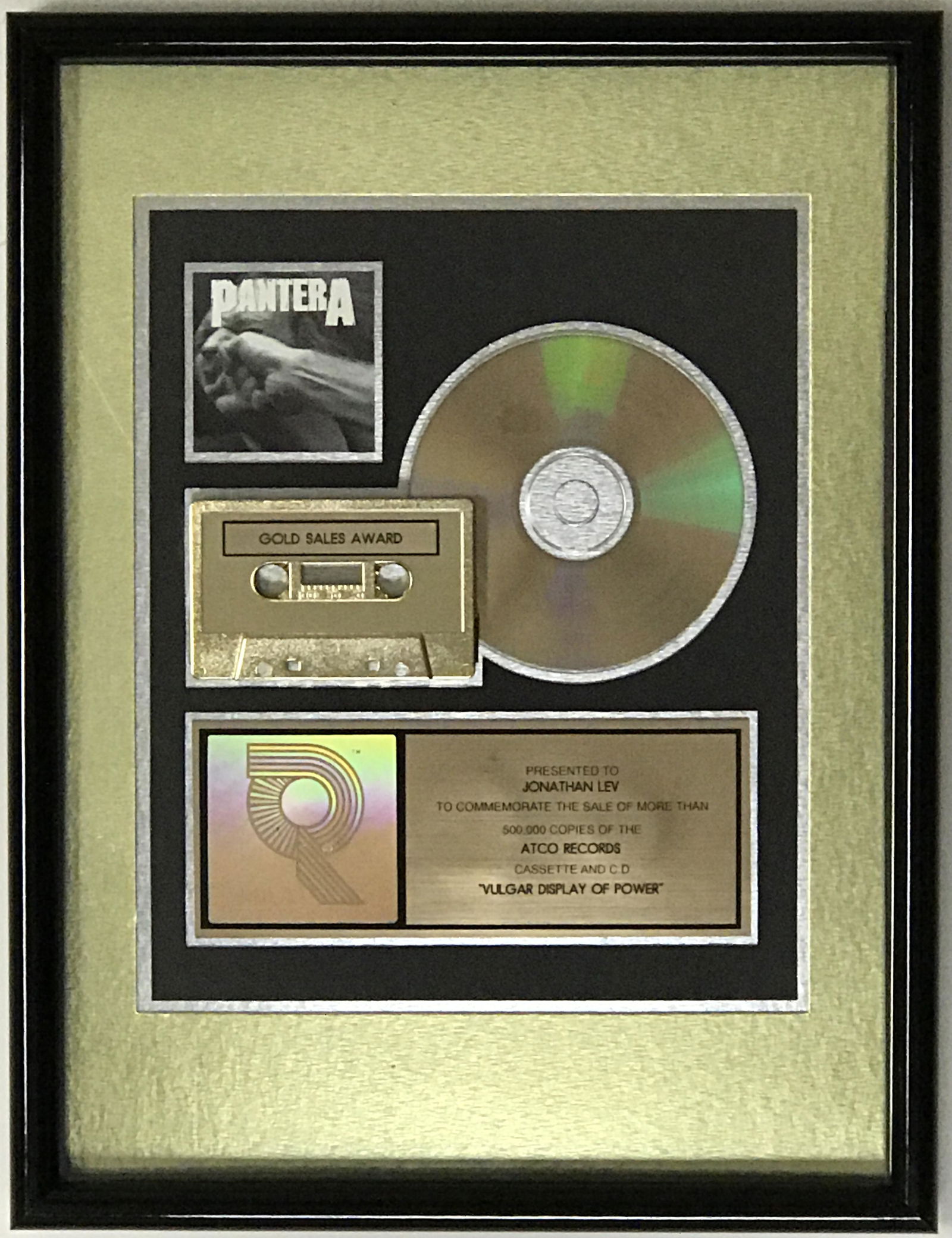 Pantera Vulgar Display Of Power RIAA Gold Album Award (1 of 6)