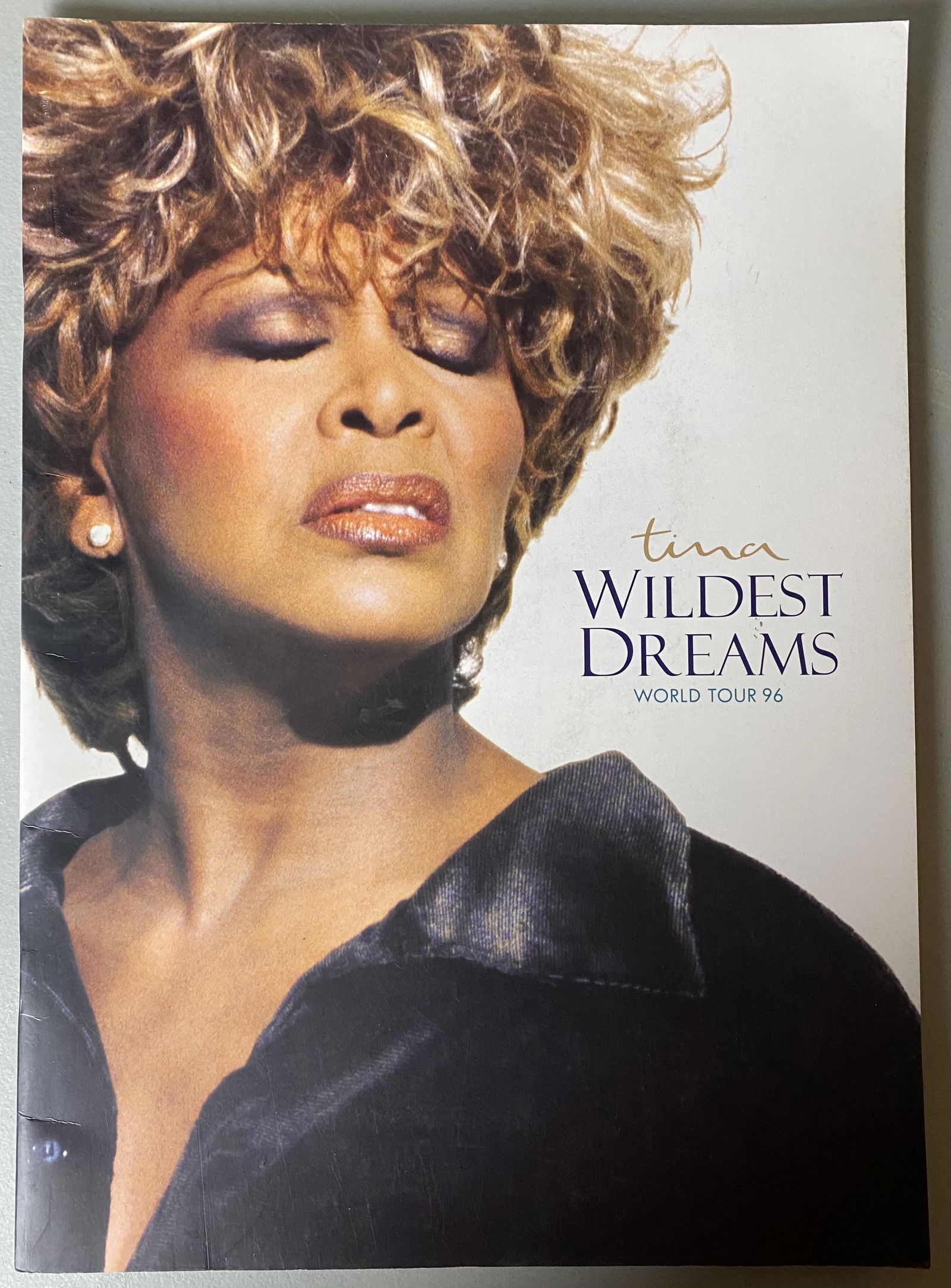 Tina Turner 1996 Wildest Dreams Tour Program (1 of 3)