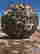 item-119724294=2