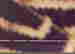 item-130953785=3