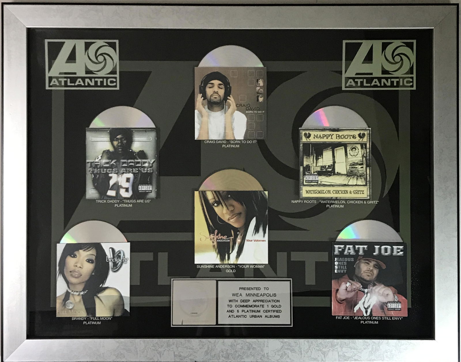 Atlantic Records RIAA Platinum Multi-Artist Combo Award: RIAA Platinum & Gold combination award for six Atlantic Records artists in R&B, Rap and Hip Hop genres. This official RIAA award recognizes releases from artists including Sunshine Anderson, B