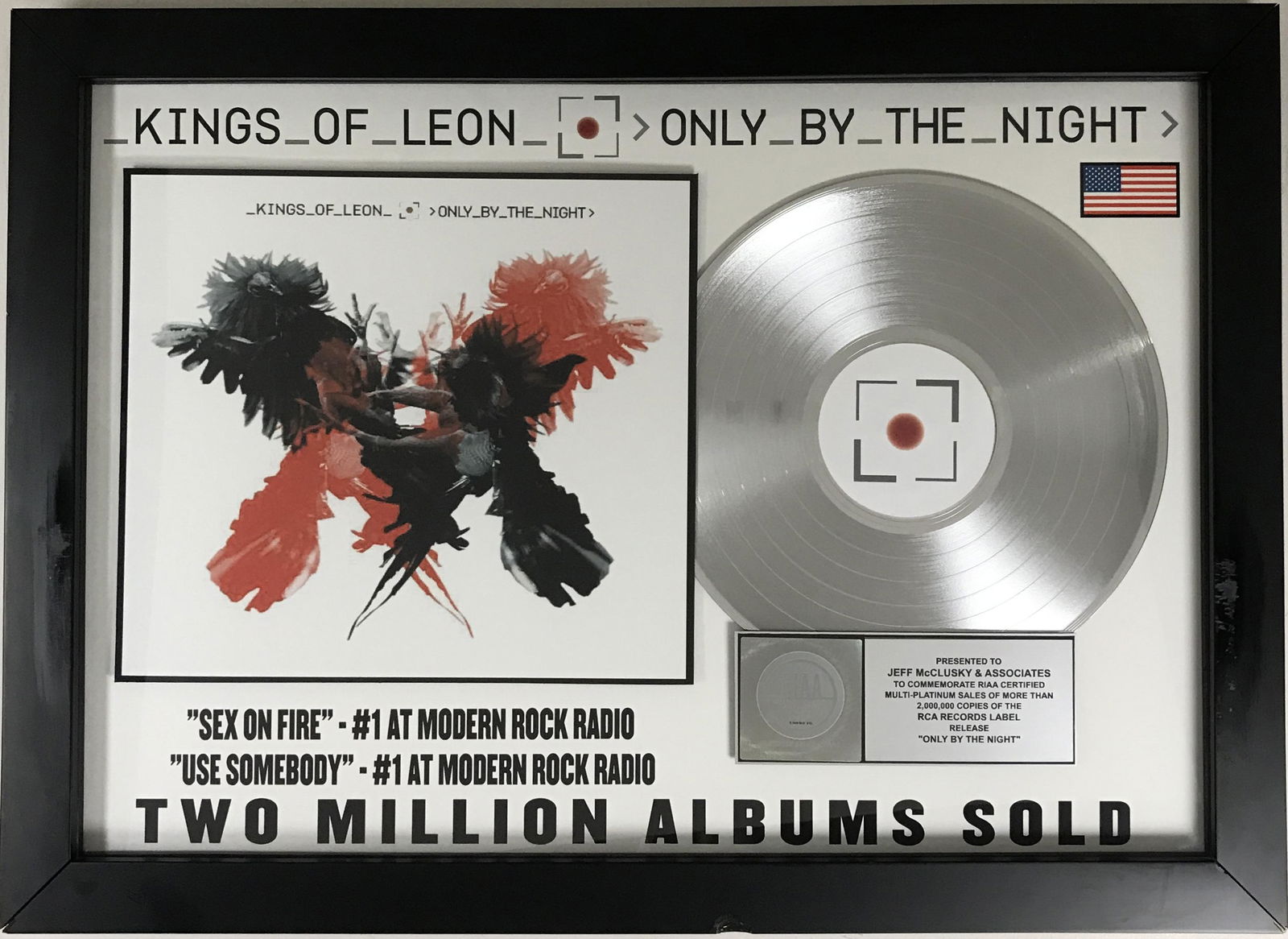 Kings of Leon Only By The Night RIAA 2x Multi-Platinum Award (1 of 7)