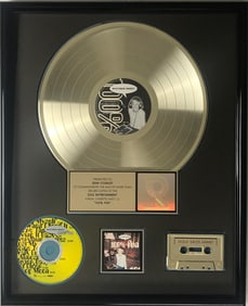 Matthew Sweet 100% Fun RIAA Gold Album Award