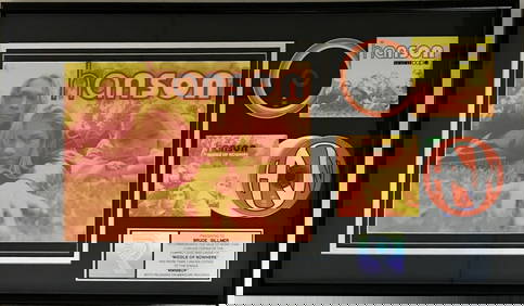 Hanson "MMMBop" & album RIAA 2x Platinum Award (1 of 6)