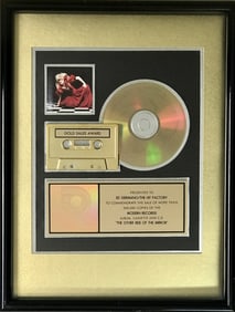 Stevie Nicks The Other Side Of The Mirror RIAA Gold Album Award