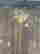 item-106156569=5