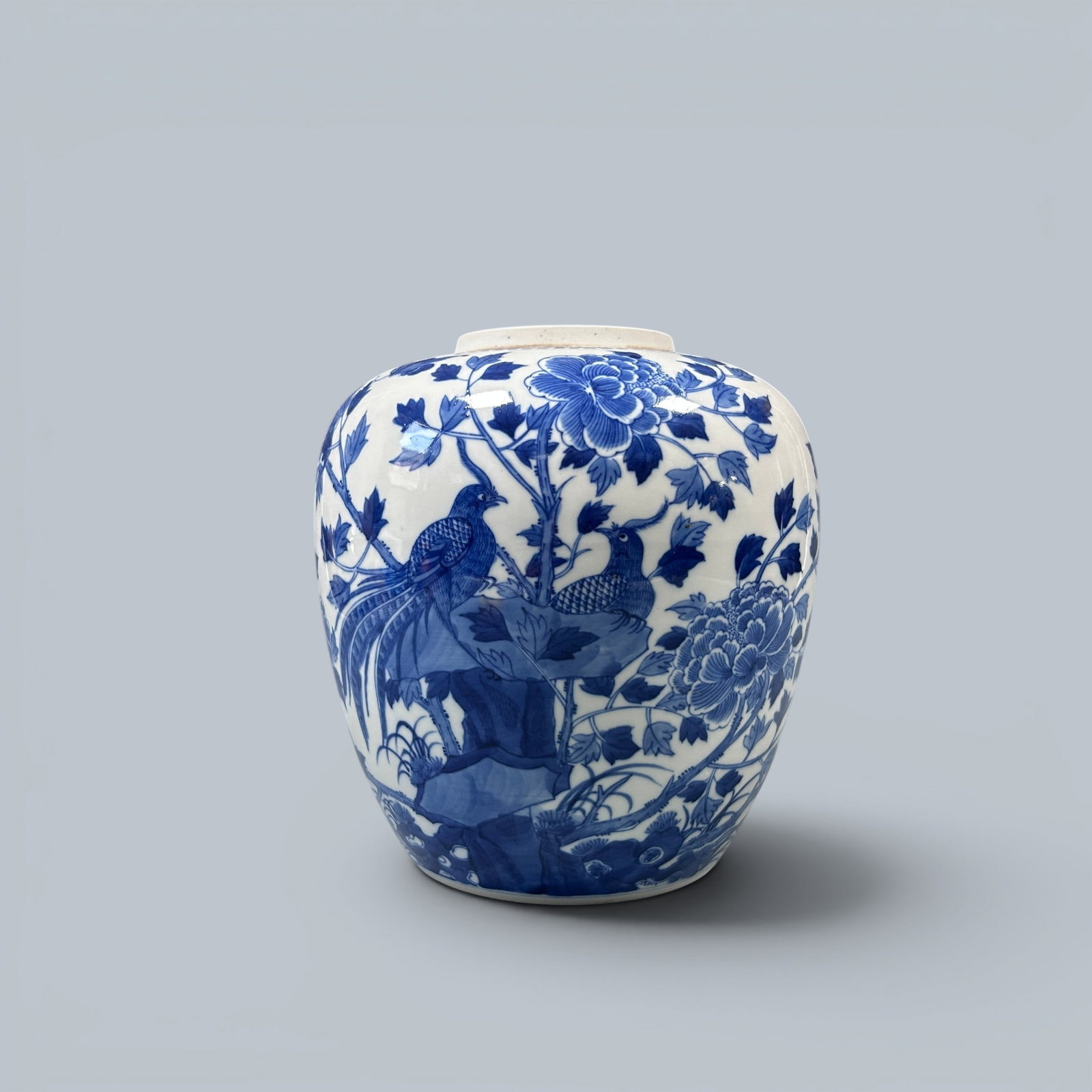 Chinese Art, A Blue and White Jar Decorated with Birds and Flowers, 19th Century, Qing Dynasty: Chinese Art, A Blue and White Jar Decorated with Birds and Flowers, 19th Century, Qing Dynasty, Height 32 cm.