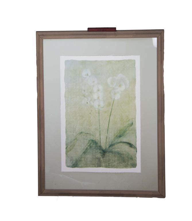 Lot of 2 Framed Floral Prints (1 of 2)