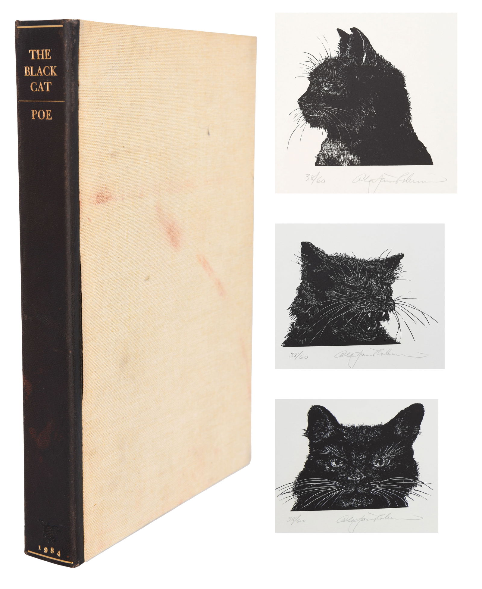 Alan James Robinson, The Black Cat Edgar Allan Poe (1 of 9)