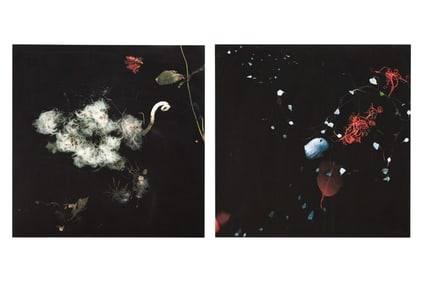 Gwen Wilkinson, Ireland , Amorphous, The Transformation of Things Diptych, Digital Composites, Dibon