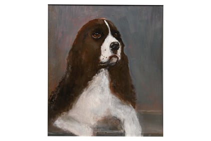Cocker Spaniel Portrait, Vincent Arguimbau