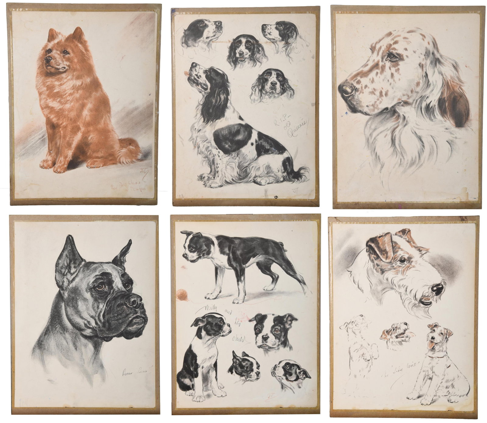 Diana Thorne Fine Art Drawings of Dogs: Diana Thorne Fine Art Drawings of Dogs Group of Seven Fine Art Drawings of Dogs: 1. Boxer 2. Airedale Terriers 3. Boston Terriers 4. English Setters 5. Chow Dog 6. Spaniel 7. Terrier App