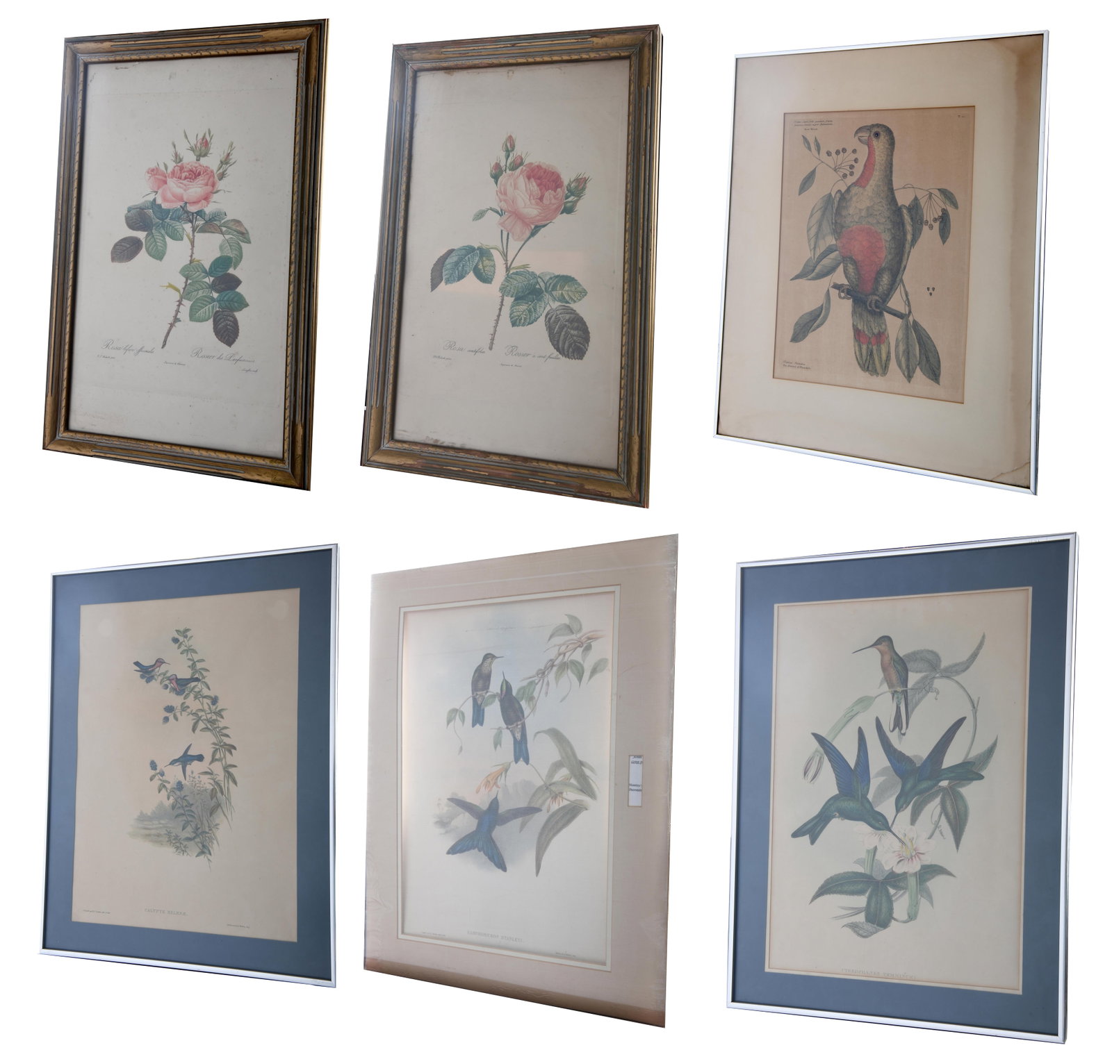 Group of Framed Florilegium (1 of 10)