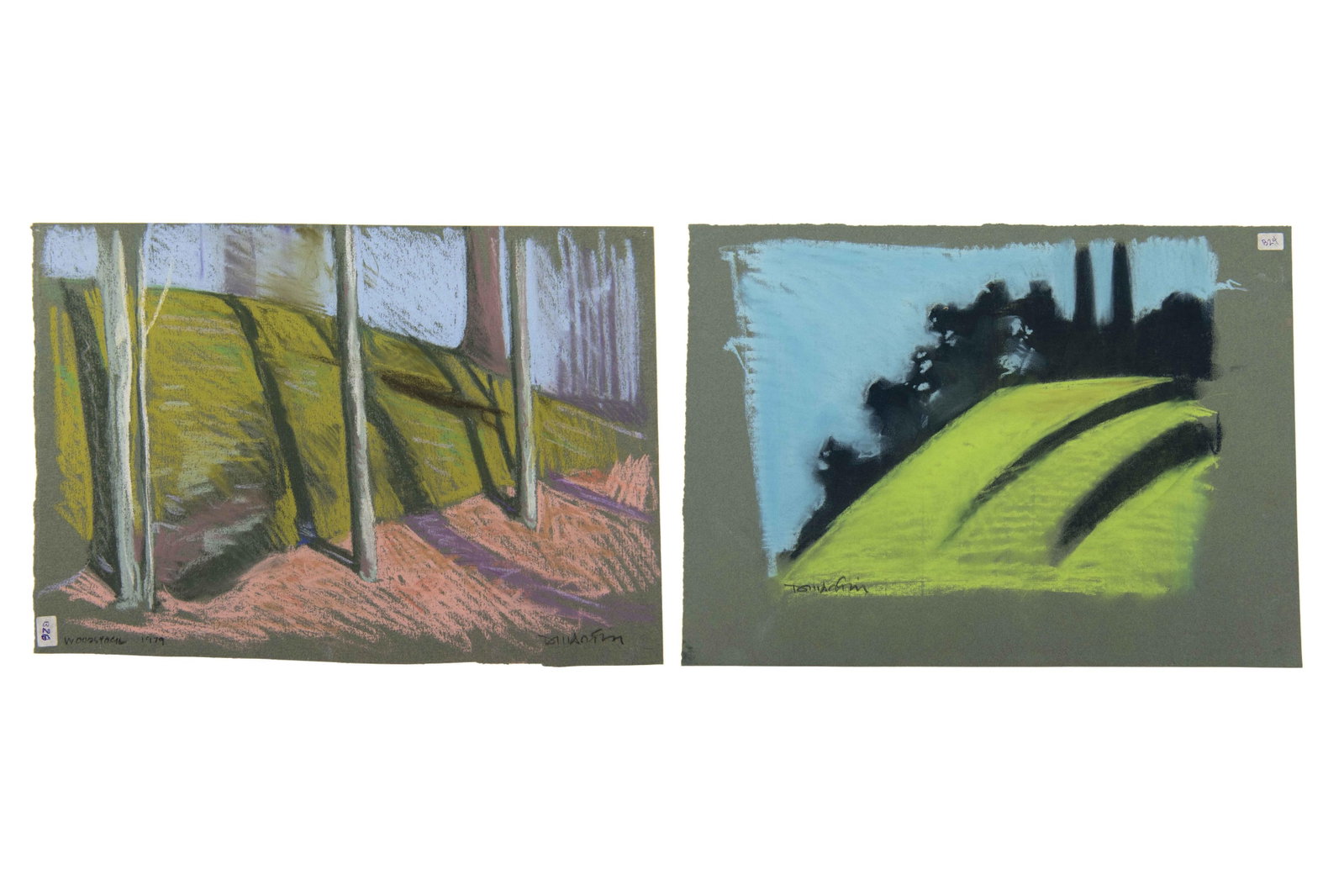 David J. Martin, Wyoming 1951-, Original Pastel Landscape Illustrations, Conte Crayon / Chalk / (1 of 6)