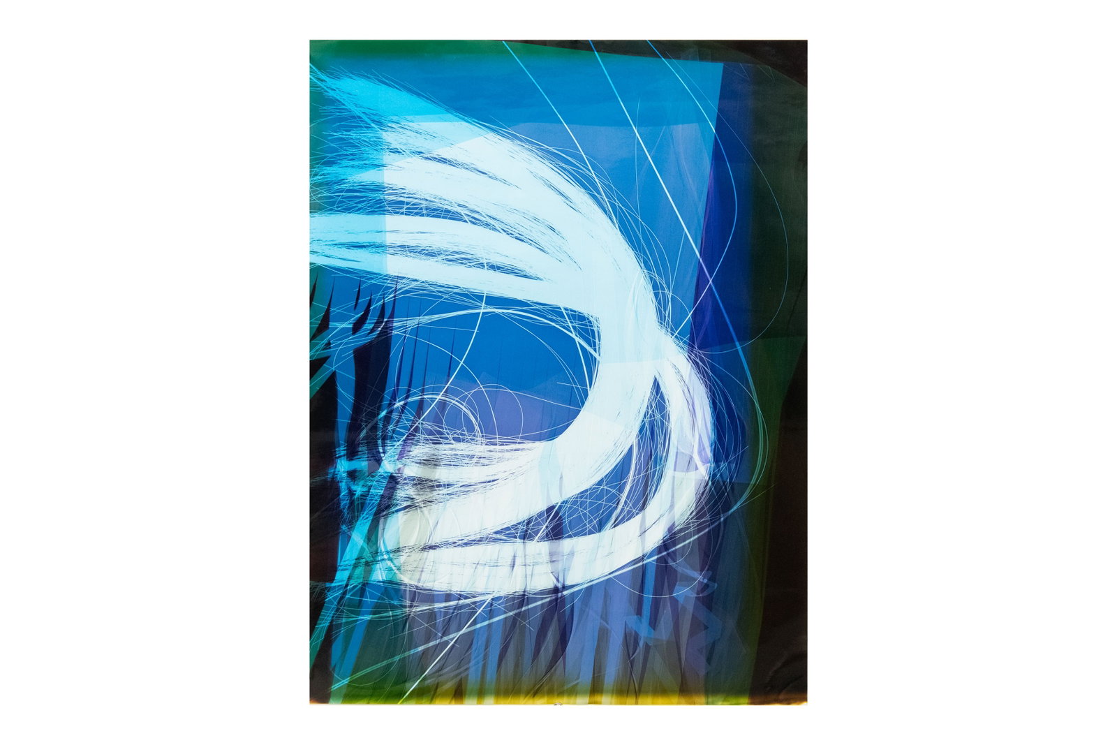 Cecilia Biagini, 1967-, Lash, Photogram: Cecilia Biagini 1967- Lash Photogram From the private collection of a New York City Financial Firm. Approximate size: 40” H x 27” W Cecilia Biagini (b. 1967, Buenos Aires Argen
