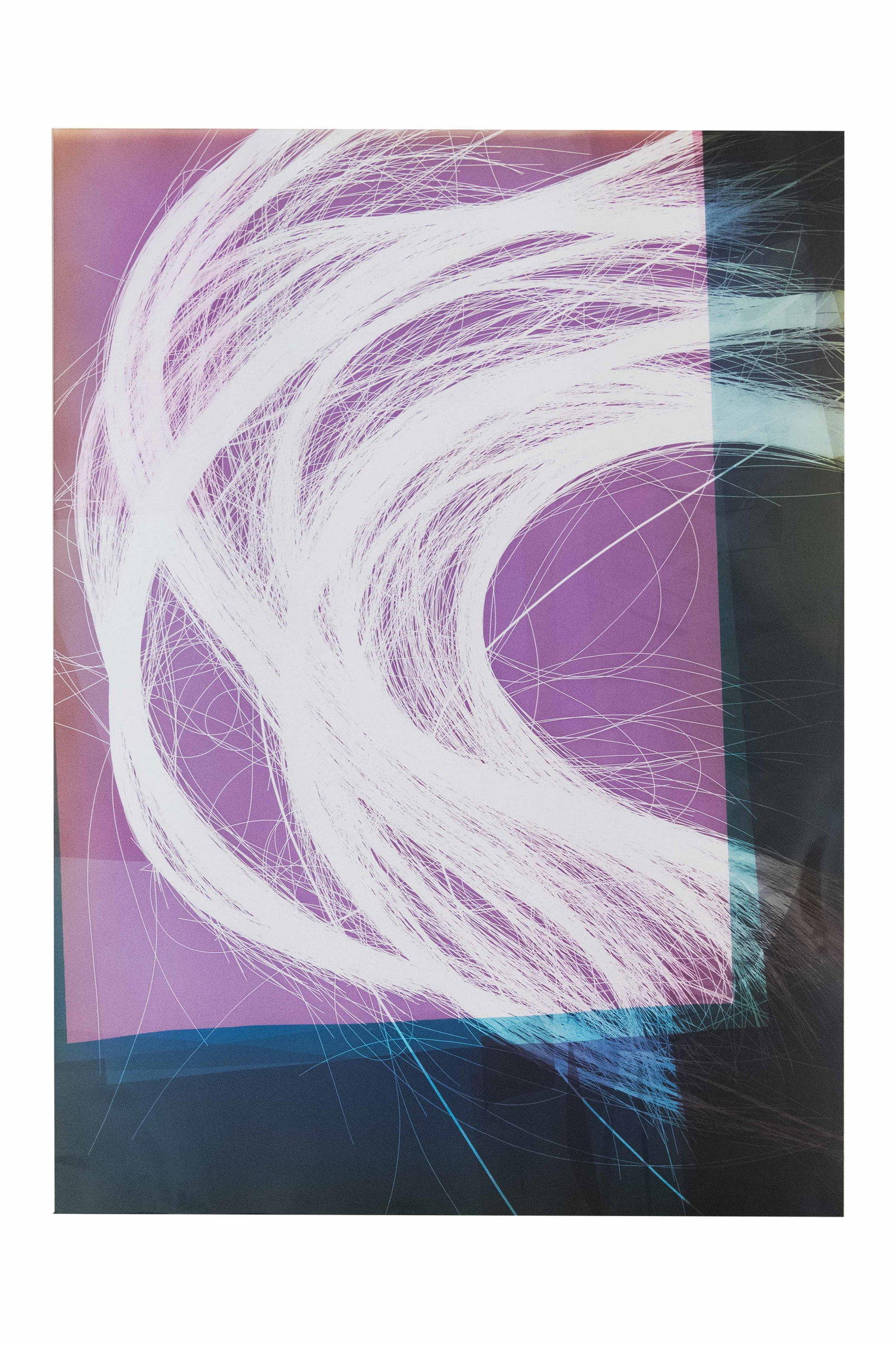 Cecilia Biagini, 1967-, Untitled, Photogram (1 of 9)