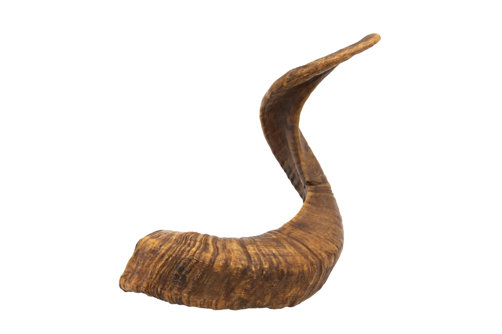 Fortune Ram Horn Lighter: Fortune Ram Horn Lighter Approximate size: 8” H x 11” W x 3.25” D Labeled 'Fortune' on lighter. Horn has minor crack.