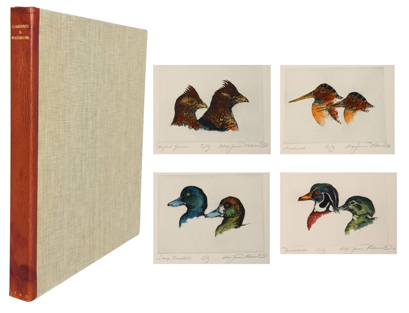 Alan James Robinson, Gamebirds & Waterfowl 1980 (1 of 15)