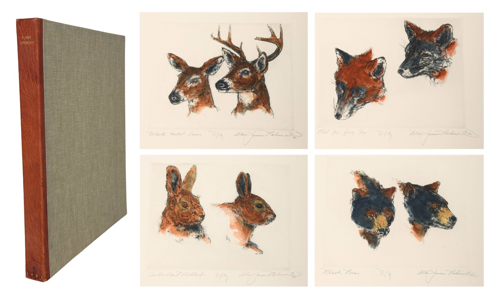 Alan James Robinson, Game Animals 1981 (1 of 9)