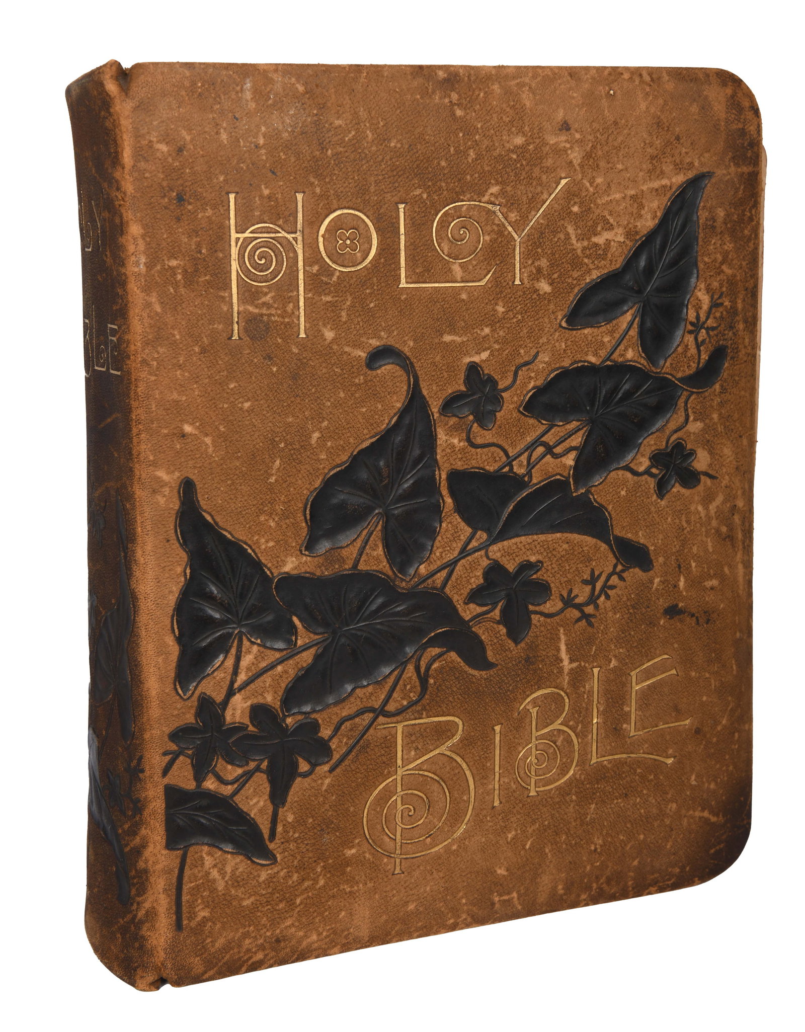 The Holy Bible (1 of 8)