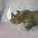 item-105181935=2
