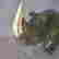 item-105181935=4