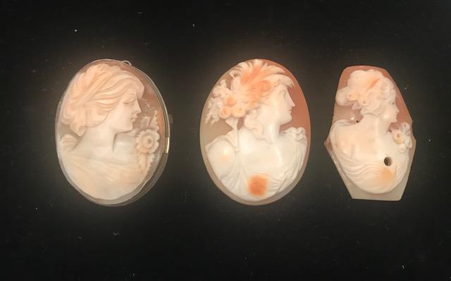 3 pcs Cameo Shell Carvings (1 of 3)