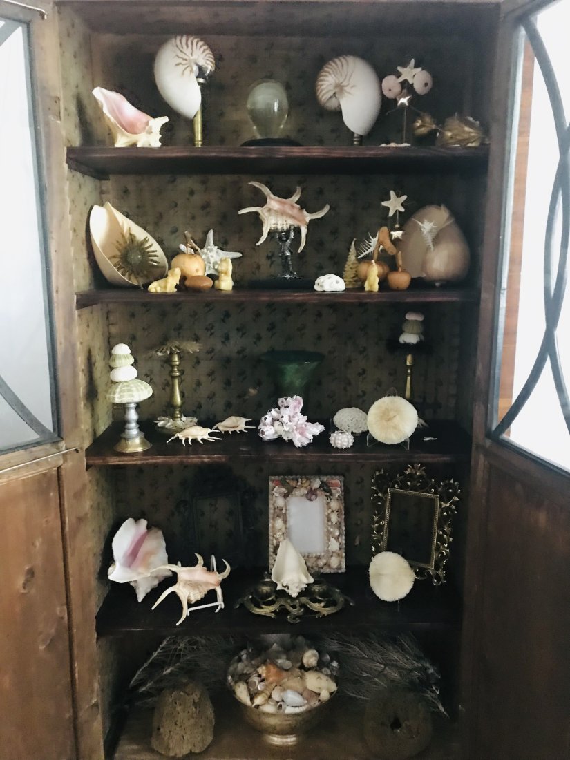 Vintage Compilation of Sea Shells and Curiosities (1 of 9)