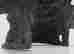 item-126653800=6