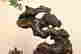 item-126654048=3