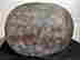 item-131437006=15