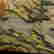 item-131437085=13
