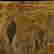 item-131437087=16