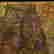 item-131437092=12