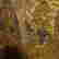 item-131437092=6