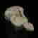 item-131437825=5