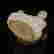 item-131437825=7