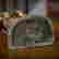 item-133246727=4