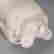 item-133783652=4