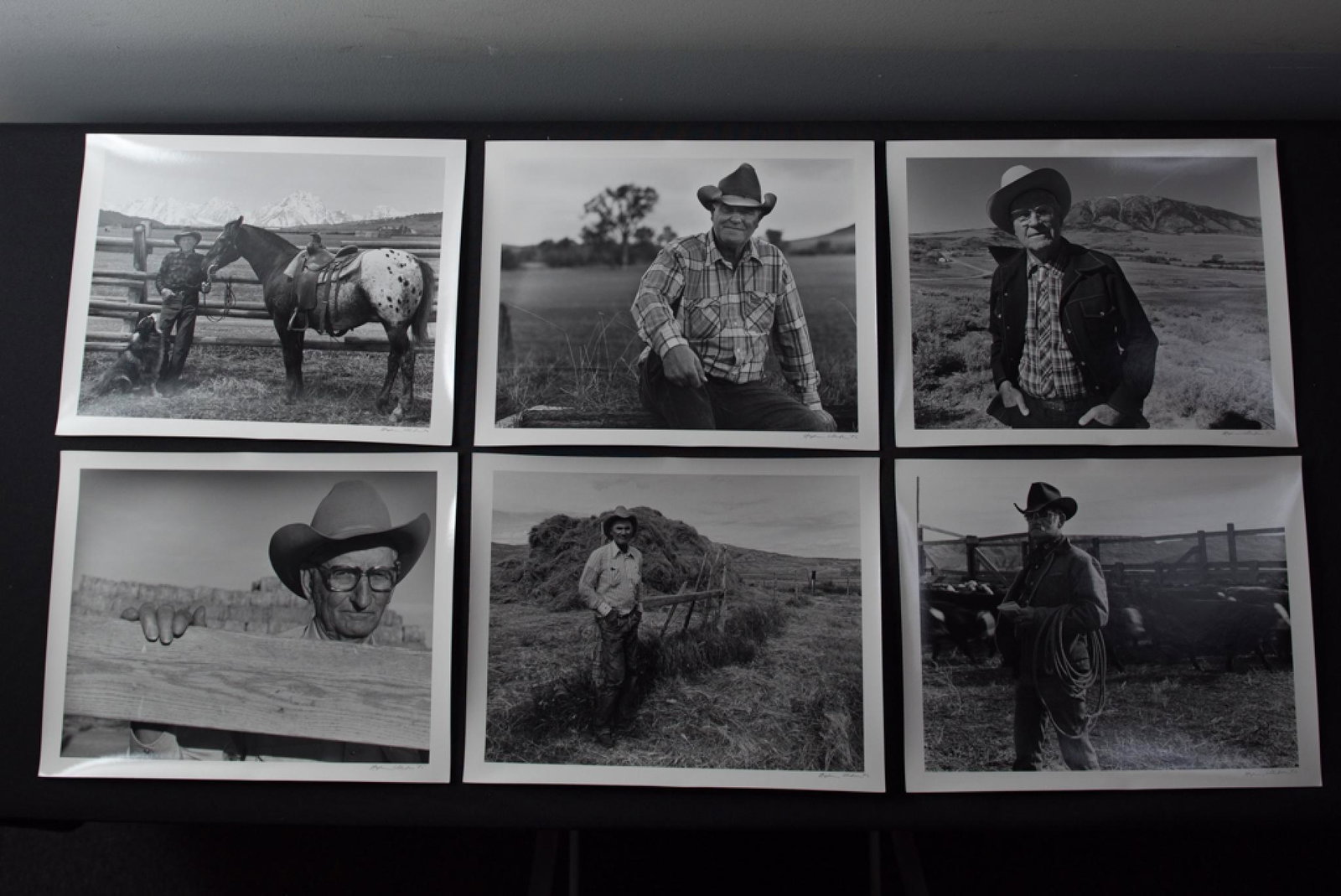 Steve Collector, "Cowboy Portfolio 22", Gelatin Silver: Steve Collector; "Cowboy Portfolio 22"; Silver gelatin photograph prints; Signature in bottom right of prints; Visible area measures approximately H 11 inches x W 14 inches; List of cowboy names and b
