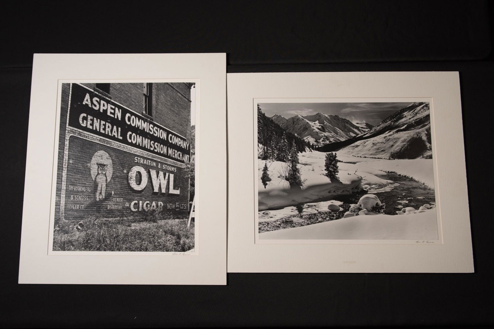 Charles Grover, Untitled, "Owl, 1985", Gelatin Silver (1 of 3)